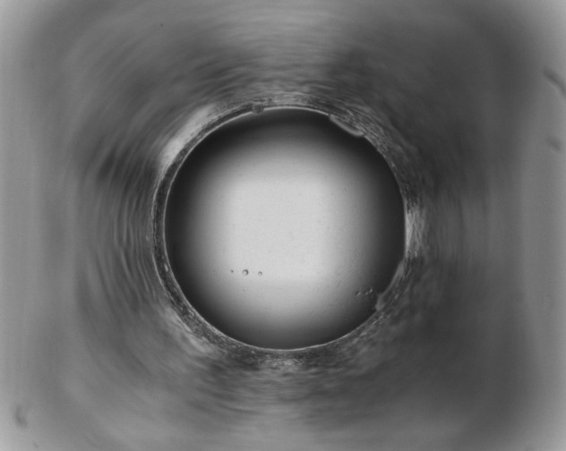 X0000102820195200808251118