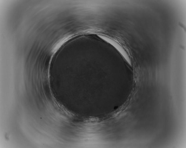 X0000102820196200808251118