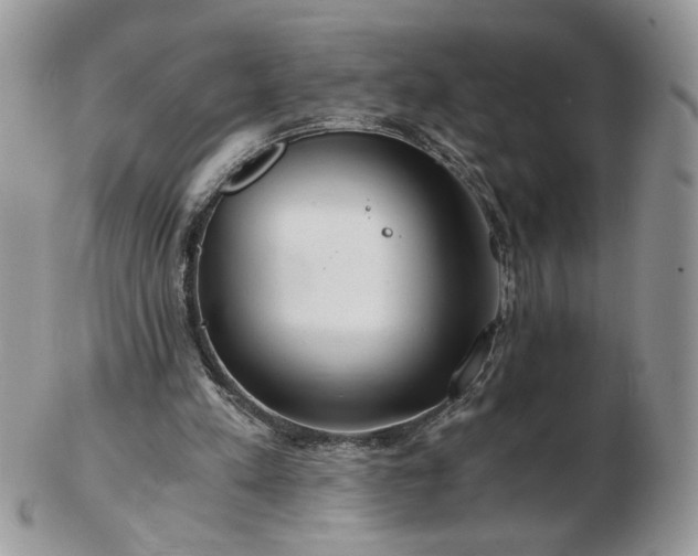 X0000102820197200808251118