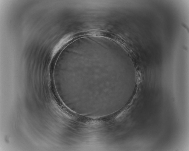X0000102820198200808251118