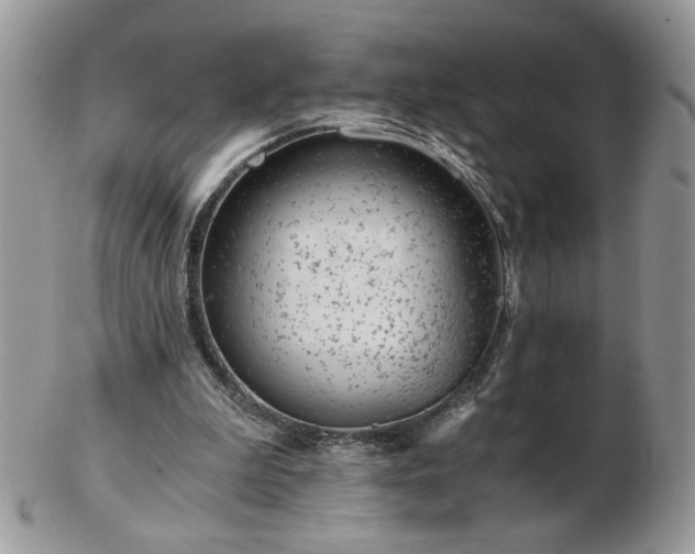 X0000102820199200808251118