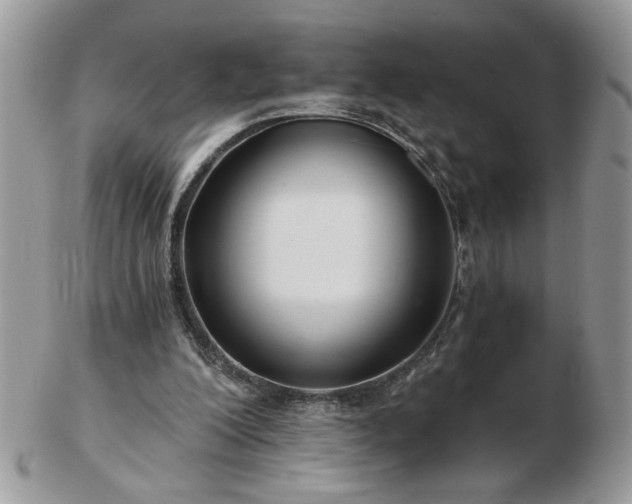 X0000102820200200808251118