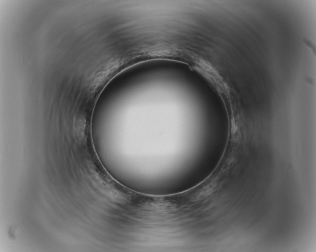 X0000102820201200808251118