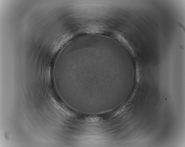 X0000102820202200808251118