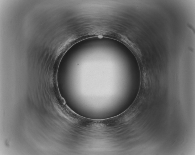 X0000102820203200808251118