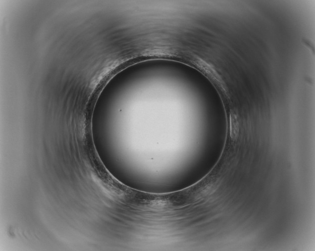 X0000102820204200808251118