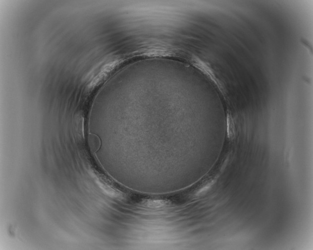 X0000102820205200808251118