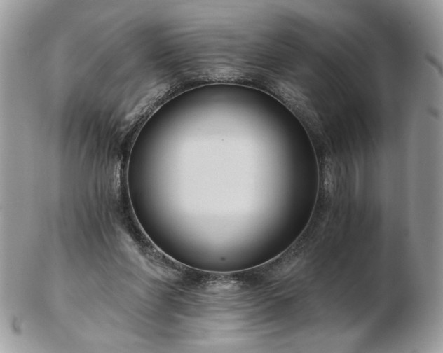 X0000102820206200808251118
