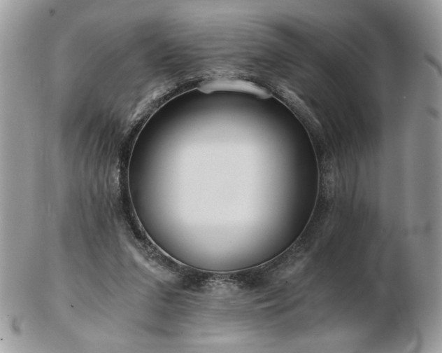 X0000102820207200808251118