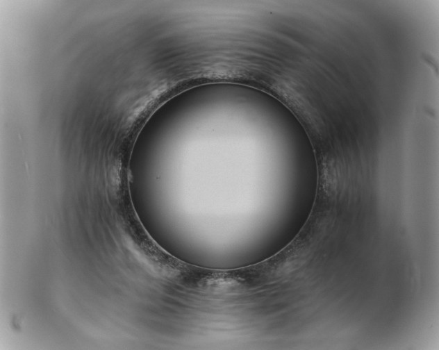 X0000102820208200808251118