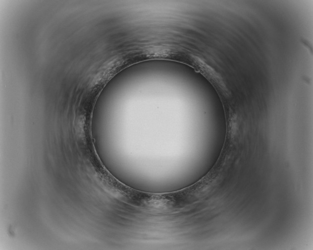 X0000102820209200808251118