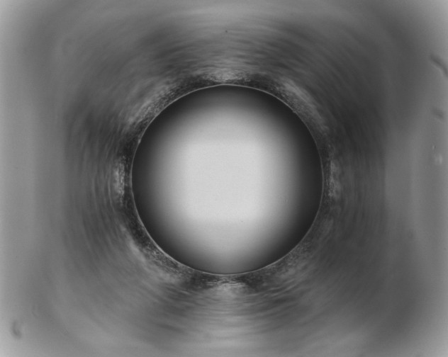 X0000102820210200808251118