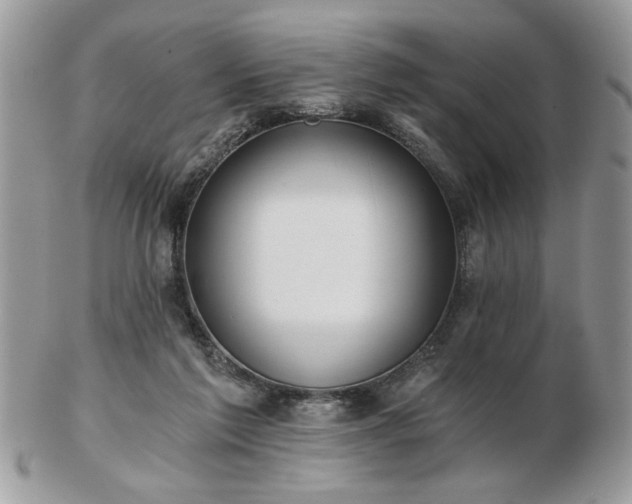 X0000102820213200808251118