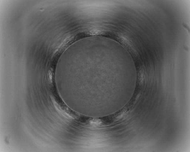 X0000102820214200808251118