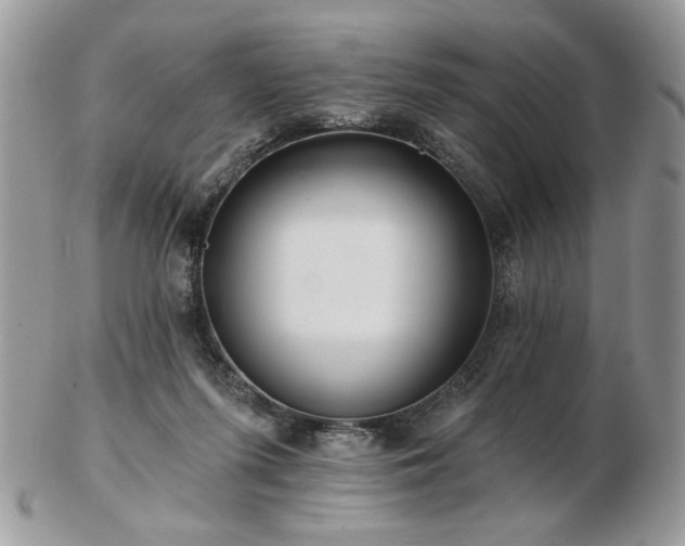 X0000102820215200808251118