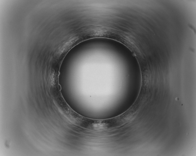 X0000102820216200808251118