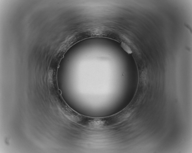 X0000102820217200808251118