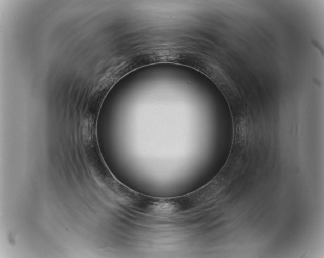 X0000102820218200808251118