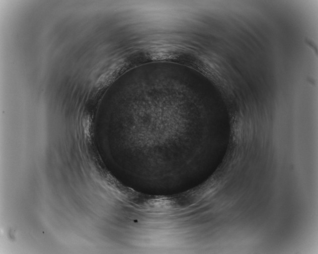 X0000102820219200808251118