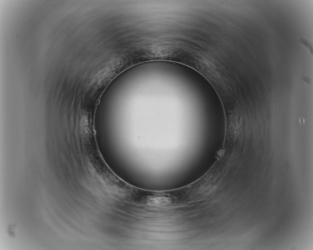 X0000102820220200808251118