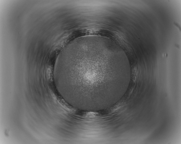X0000102820222200808251118