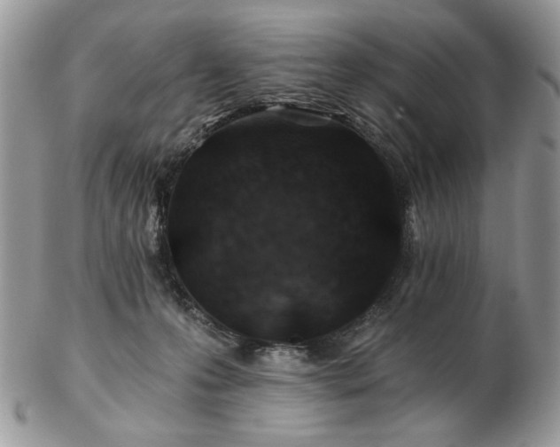 X0000102820223200808251118
