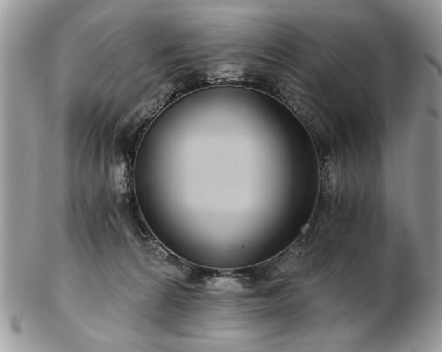 X0000102820224200808251118