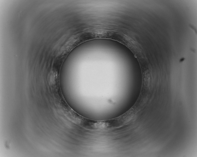 X0000102820225200808251118