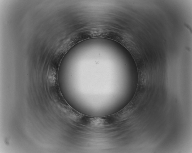 X0000102820226200808251118