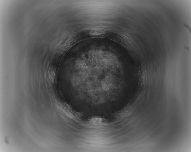 X0000102820227200808251118
