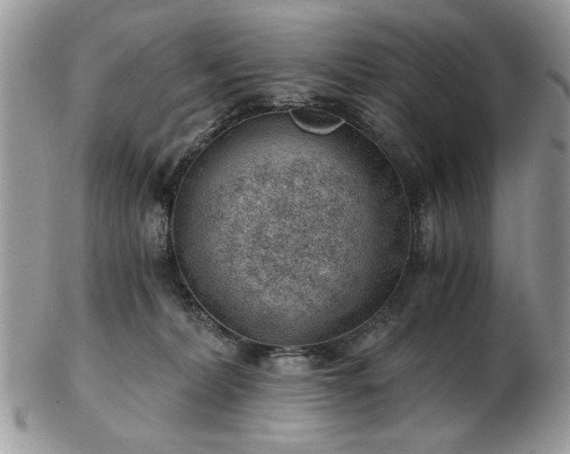 X0000102820228200808251118