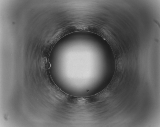 X0000102820229200808251118