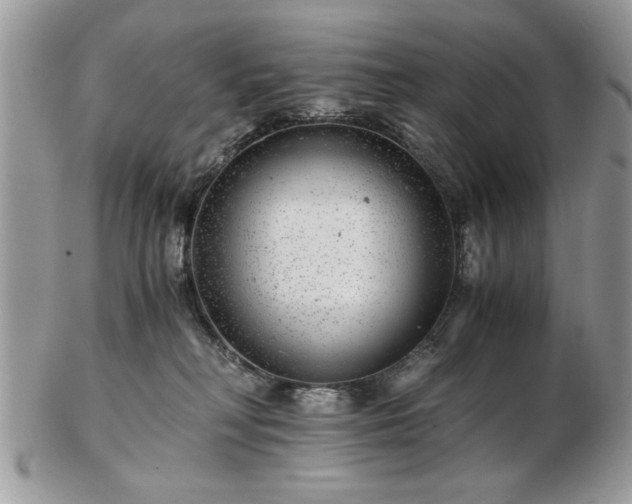 X0000102820230200808251118