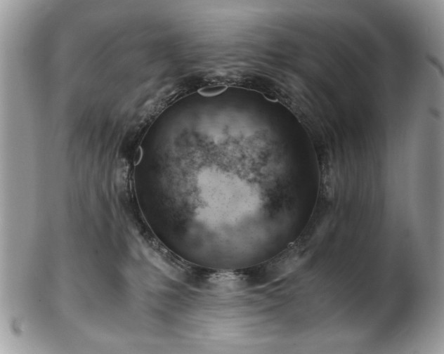 X0000102820231200808251118