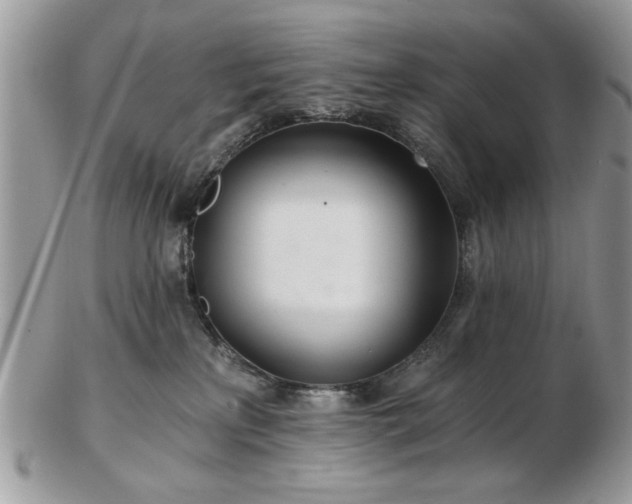 X0000102820233200808251118