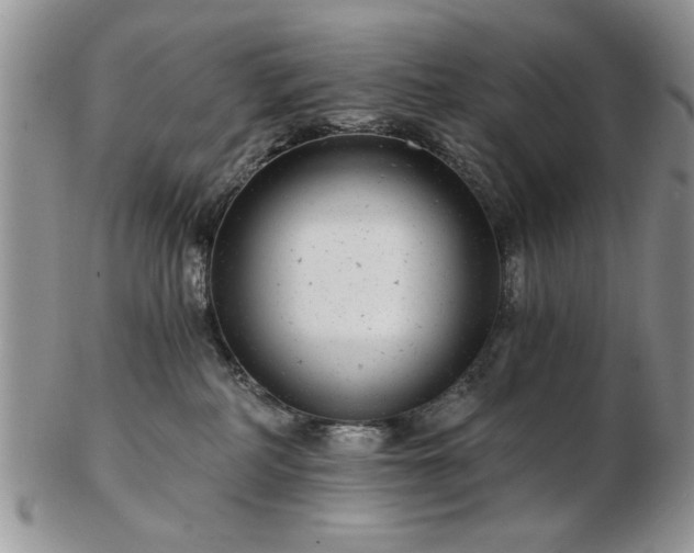 X0000102820234200808251118