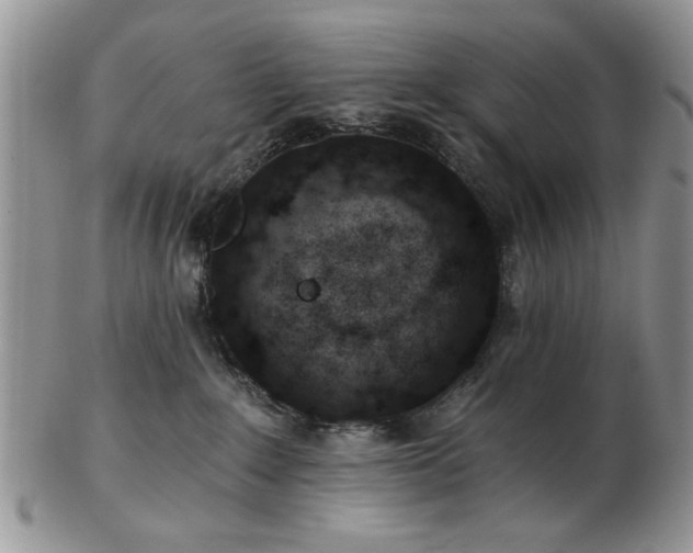 X0000102820235200808251118