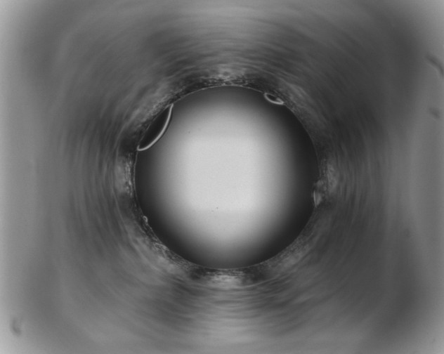 X0000102820236200808251118