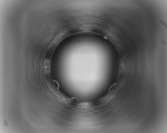 X0000102820237200808251118
