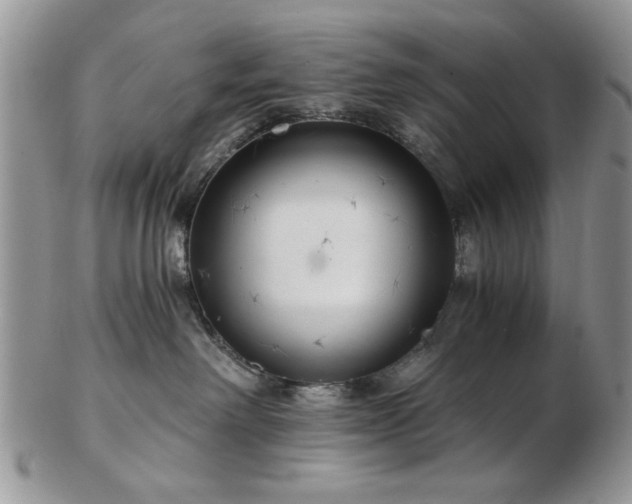 X0000102820238200808251118