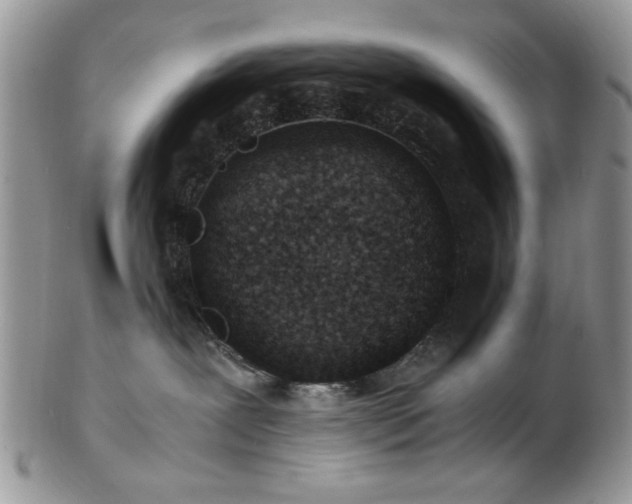 X0000102820239200808251118