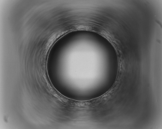 X0000102820241200808251117