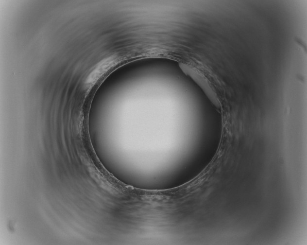X0000102820242200808251117