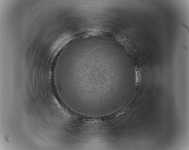 X0000102820243200808251117