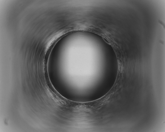 X0000102820244200808251117