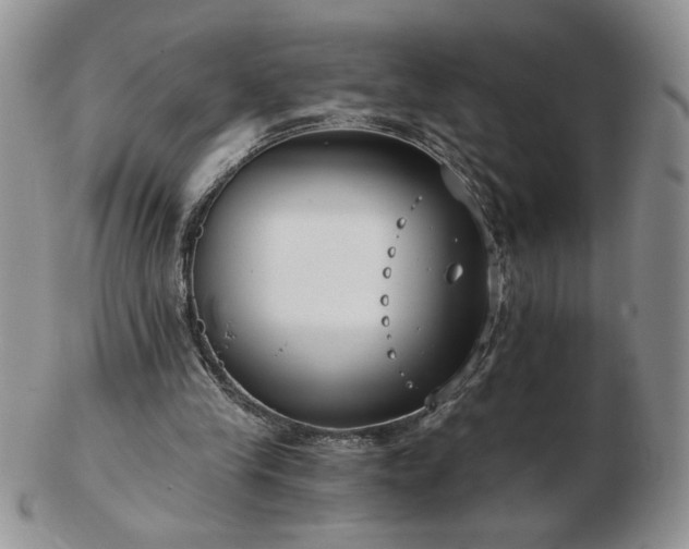 X0000102820245200808251117
