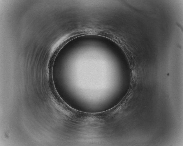 X0000102820246200808251117