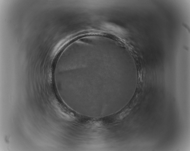 X0000102820247200808251117