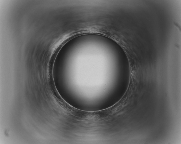 X0000102820248200808251117