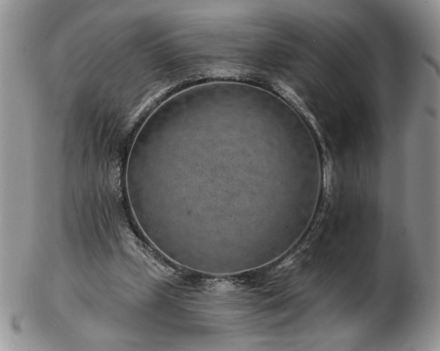 X0000102820249200808251117